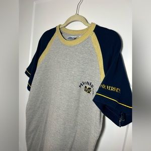 Large/XL Vintage Michigan Wolverines t shirt dress, long t shirt